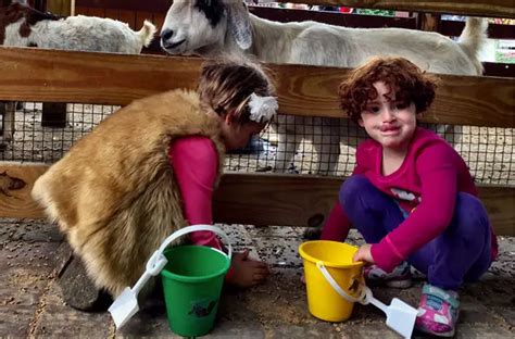 White Post Farms Animal Farm and Petting Zoo, .
